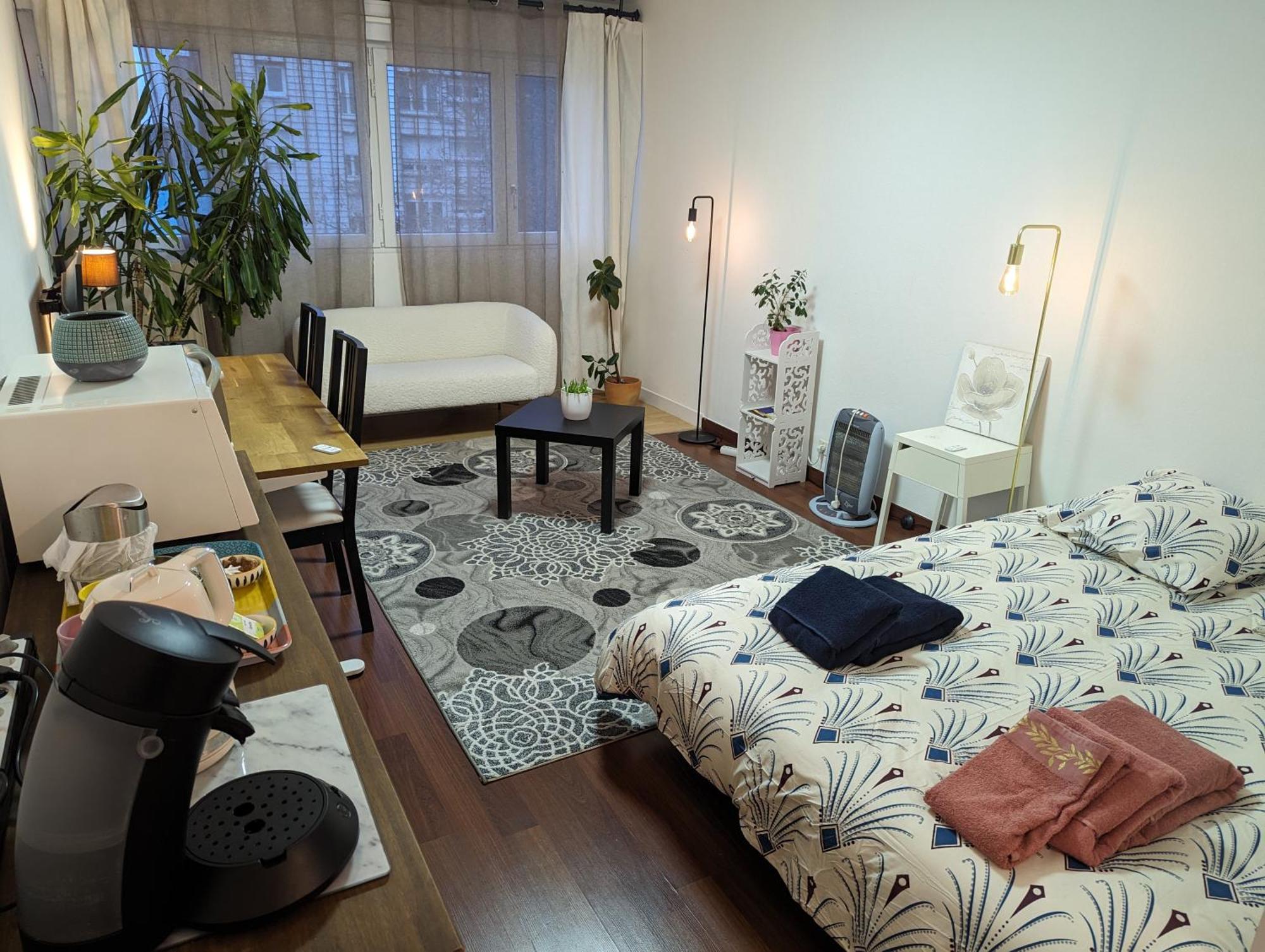 Chez Les P'Tits Loups Apartment Strasbourg Exterior photo